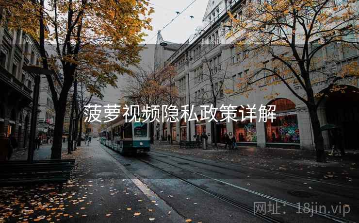 菠萝视频隐私政策详解