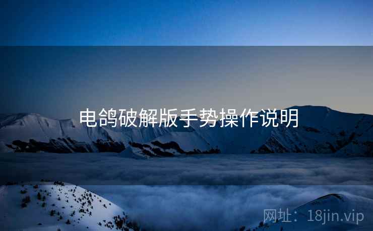 电鸽破解版手势操作说明