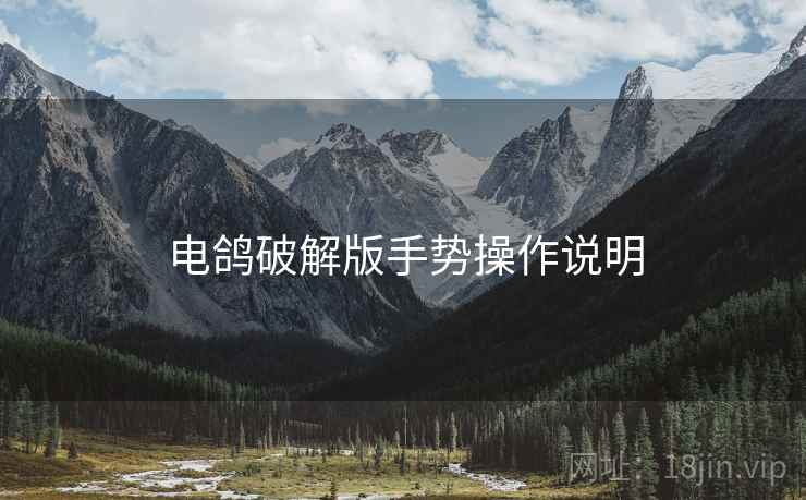 电鸽破解版手势操作说明