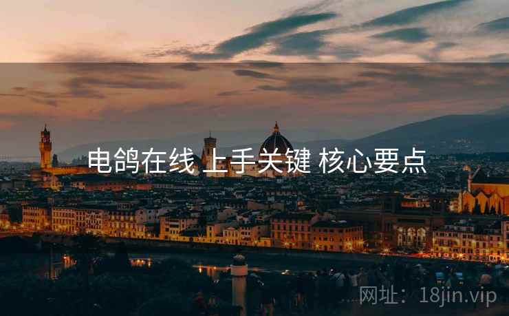 电鸽在线 上手关键 核心要点  第2张