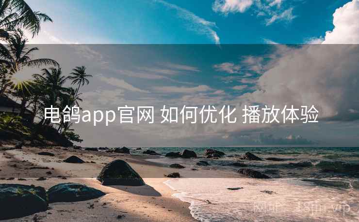 电鸽app官网 如何优化 播放体验