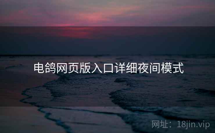 电鸽网页版入口详细夜间模式
