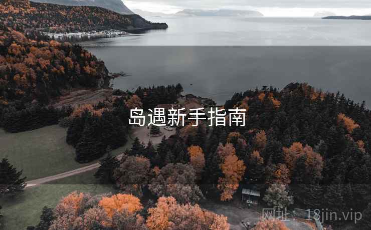 岛遇新手指南