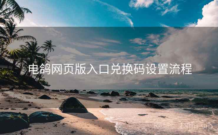 电鸽网页版入口兑换码设置流程