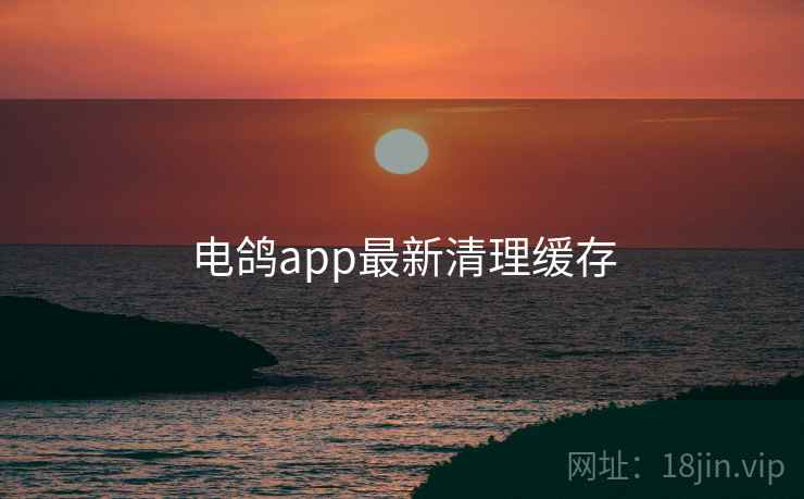 电鸽app最新清理缓存