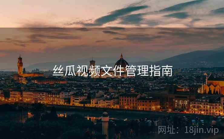 丝瓜视频文件管理指南