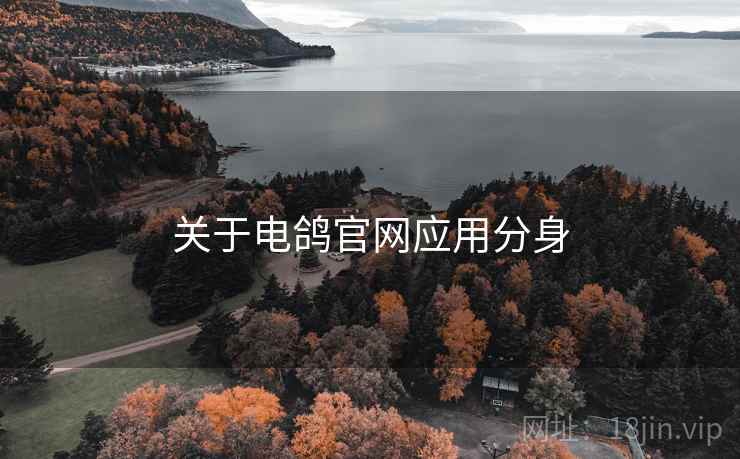 关于电鸽官网应用分身