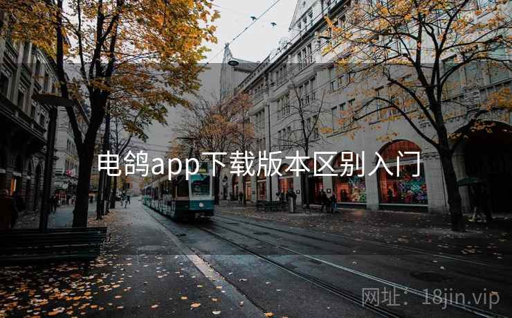 电鸽app下载版本区别入门