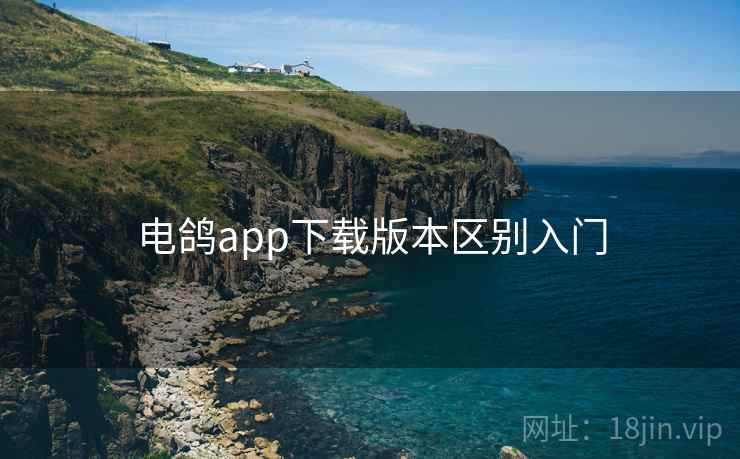 电鸽app下载版本区别入门