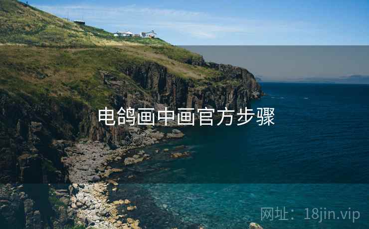 电鸽画中画官方步骤
