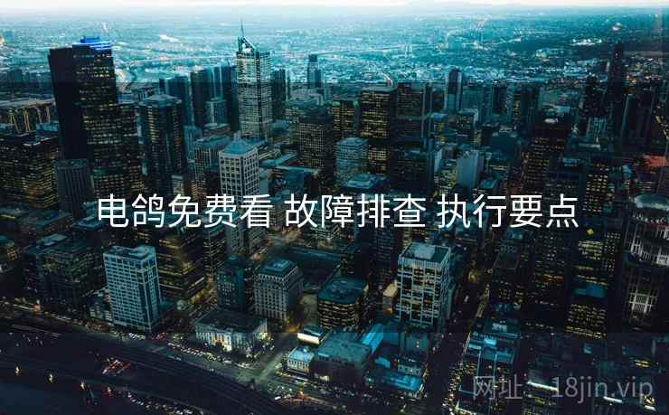 电鸽免费看 故障排查 执行要点