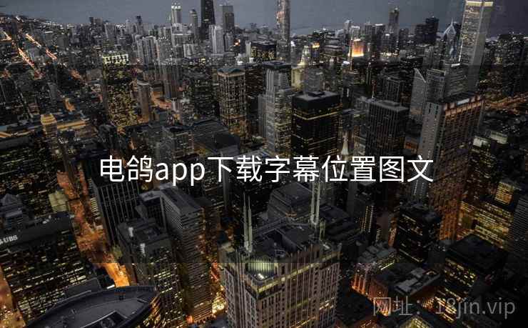 电鸽app下载字幕位置图文