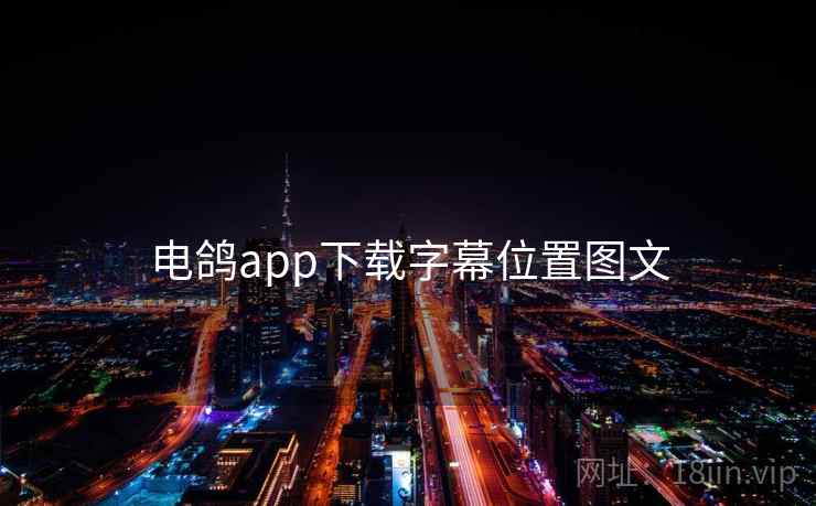 电鸽app下载字幕位置图文
