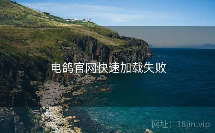电鸽官网快速加载失败