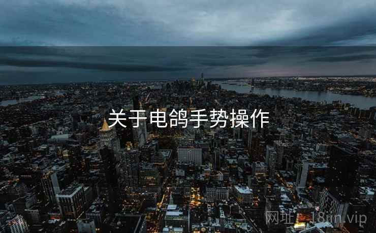关于电鸽手势操作