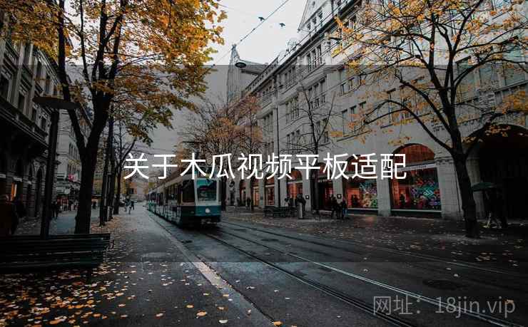 关于木瓜视频平板适配