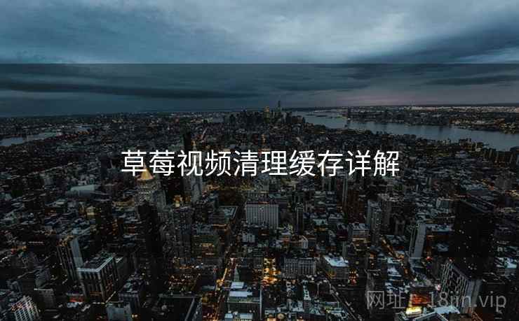 草莓视频清理缓存详解