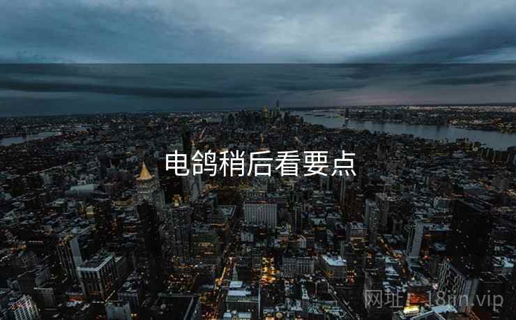 电鸽稍后看要点