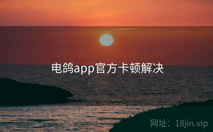 电鸽app官方卡顿解决