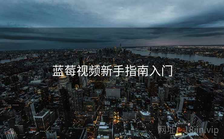 蓝莓视频新手指南入门