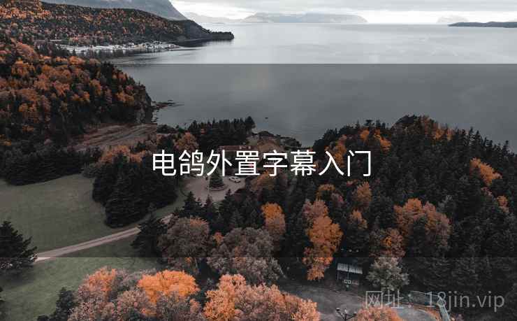 电鸽外置字幕入门