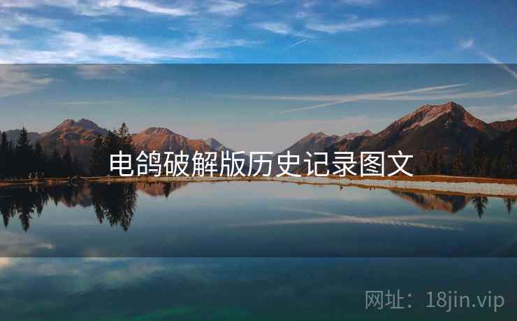 电鸽破解版历史记录图文
