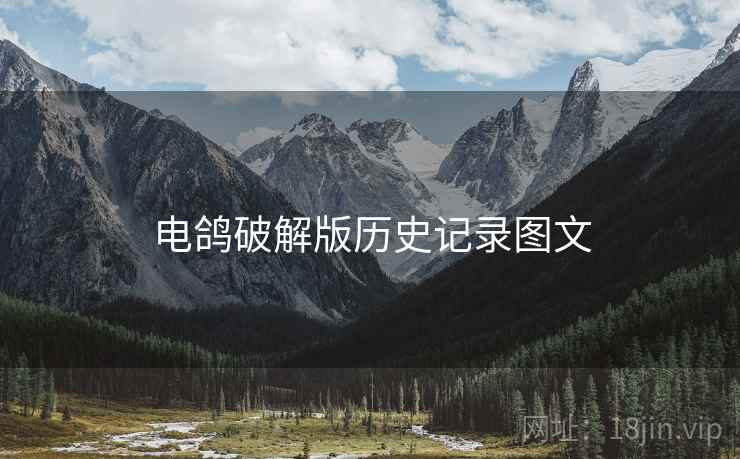 电鸽破解版历史记录图文