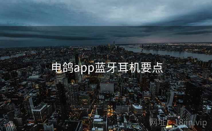电鸽app蓝牙耳机要点