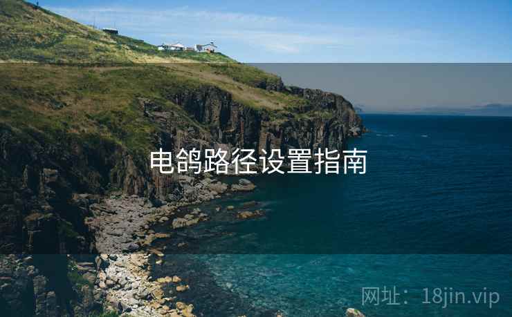 电鸽路径设置指南