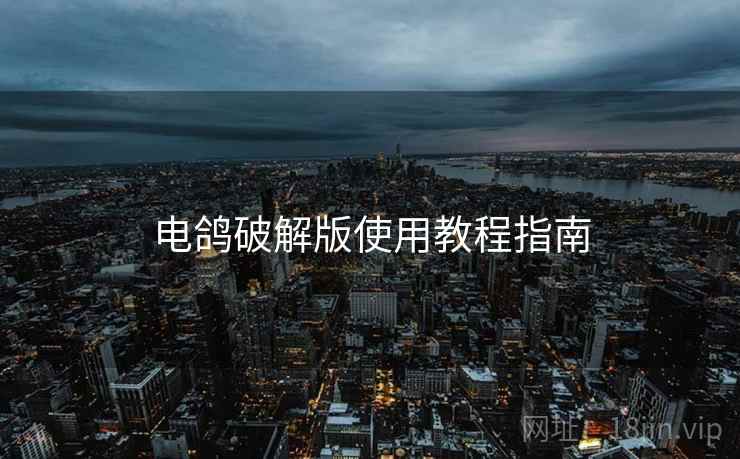 电鸽破解版使用教程指南