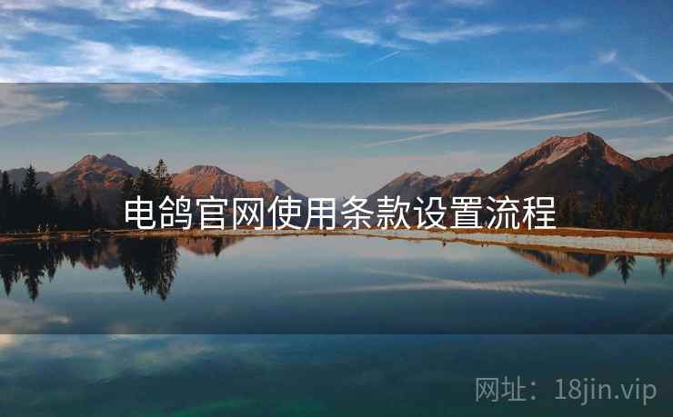 电鸽官网使用条款设置流程