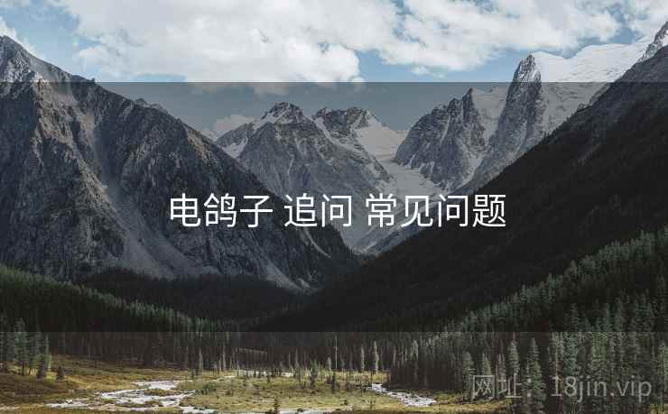 电鸽子 追问 常见问题