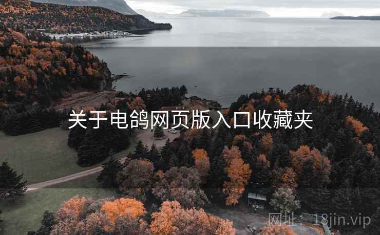 关于电鸽网页版入口收藏夹