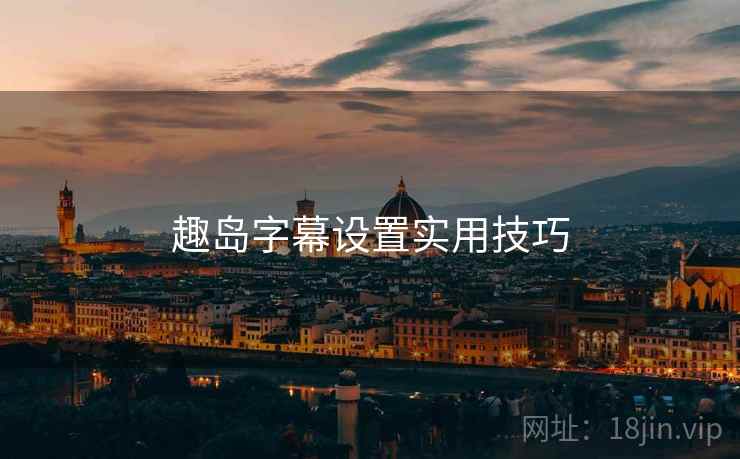 趣岛字幕设置实用技巧