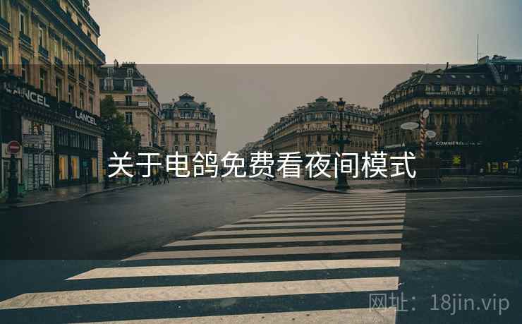 关于电鸽免费看夜间模式
