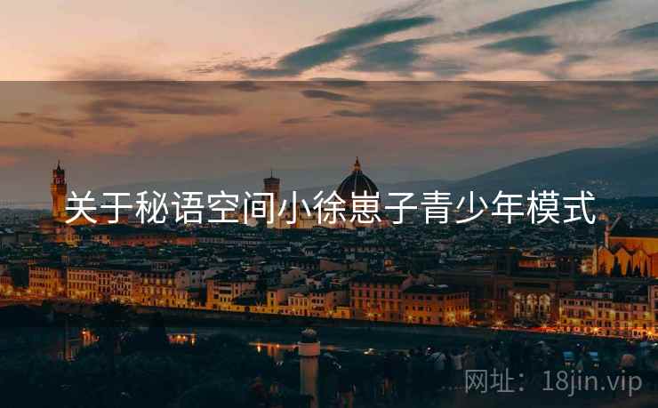 关于秘语空间小徐崽子青少年模式