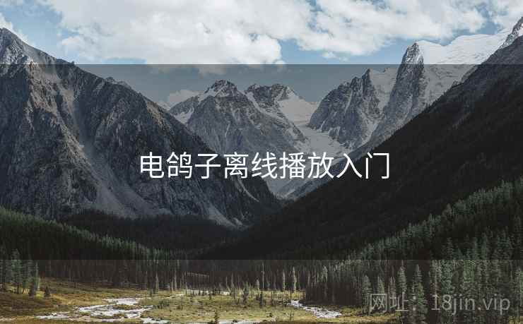 电鸽子离线播放入门
