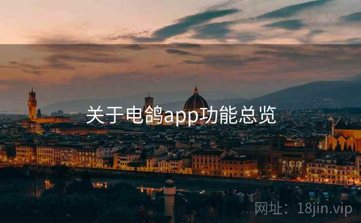 关于电鸽app功能总览