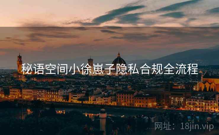 秘语空间小徐崽子隐私合规全流程