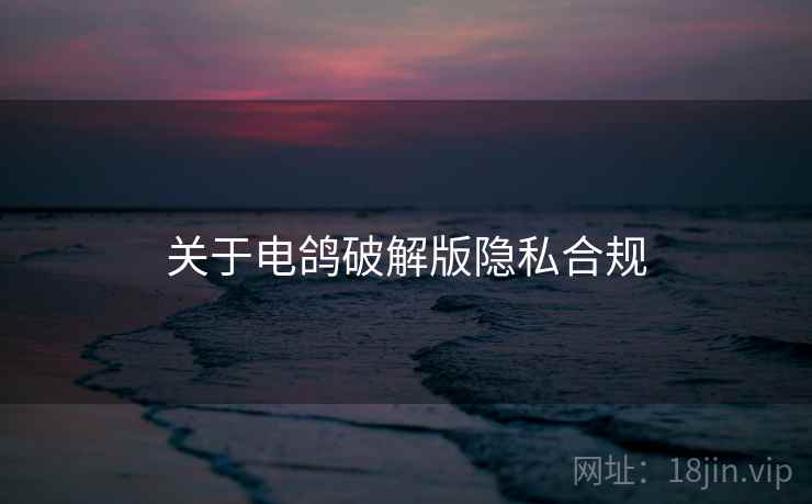 关于电鸽破解版隐私合规