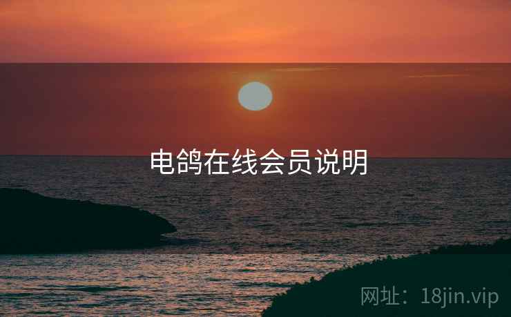 电鸽在线会员说明