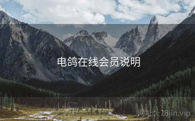 电鸽在线会员说明