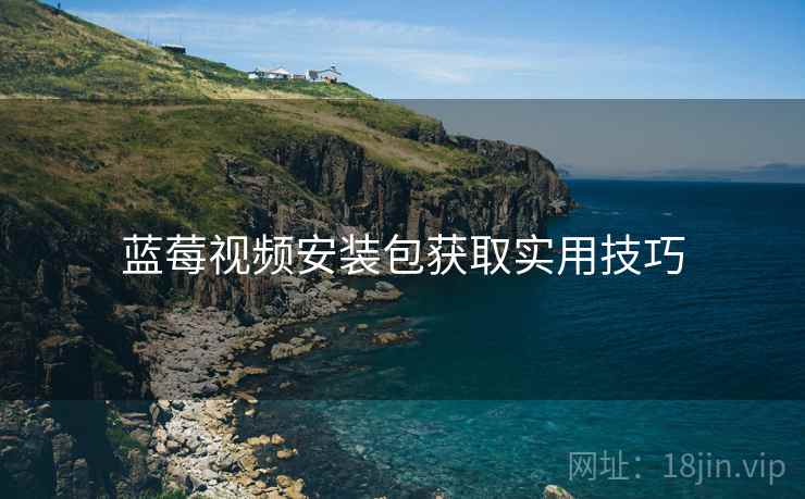蓝莓视频安装包获取实用技巧