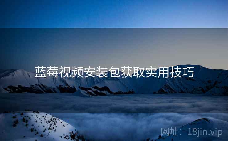 蓝莓视频安装包获取实用技巧