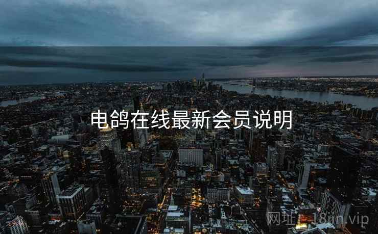 电鸽在线最新会员说明