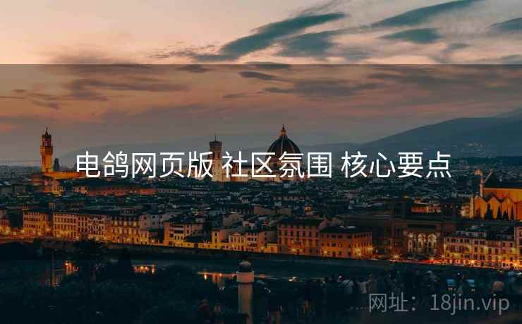 电鸽网页版 社区氛围 核心要点